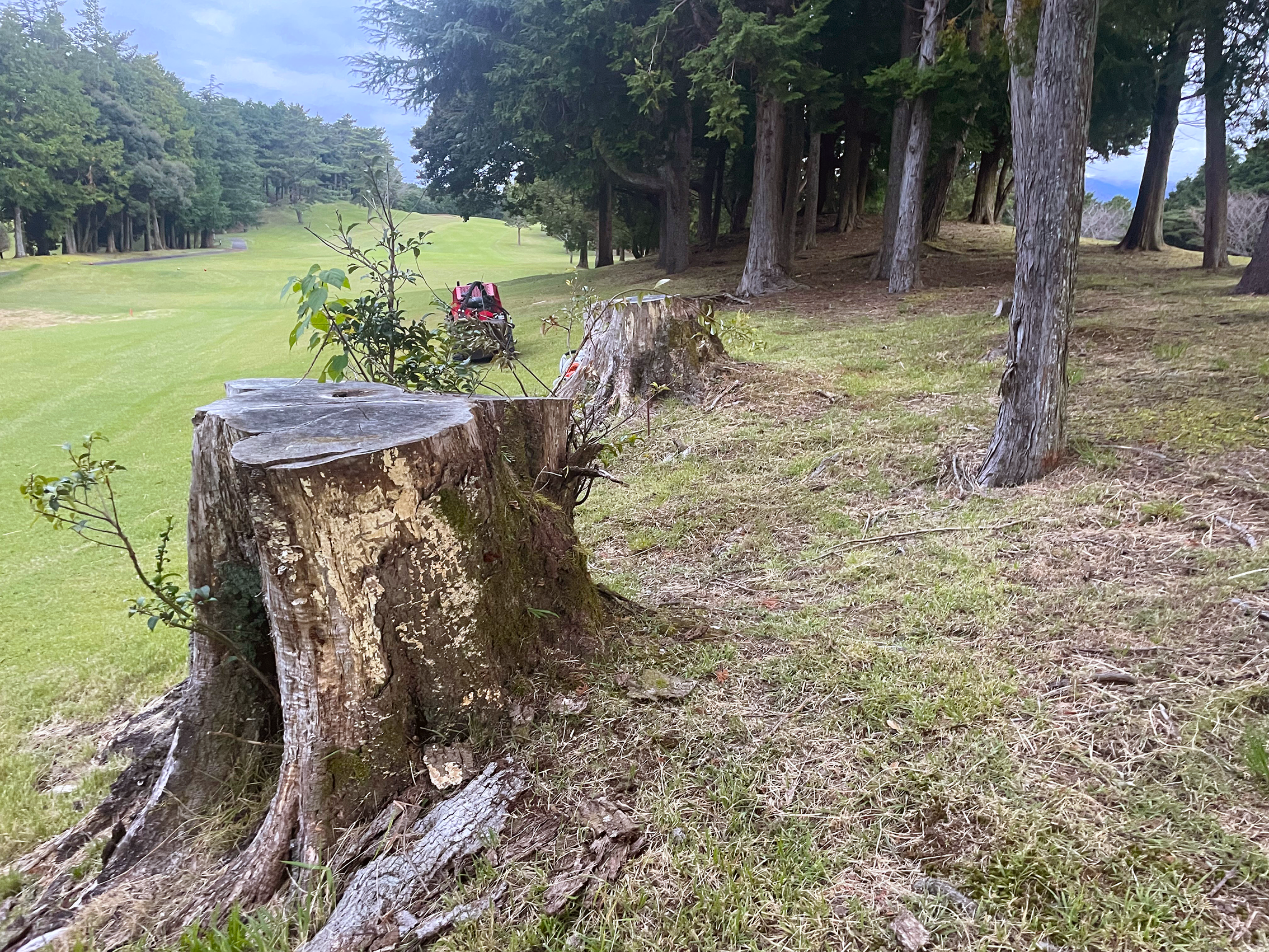 スライドショー